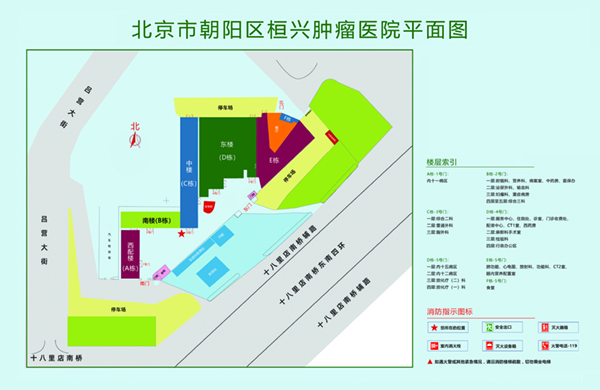 插逼逼逼视频北京市朝阳区桓兴肿瘤医院平面图